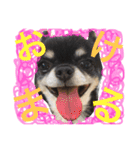 くうちゃんときなこ（個別スタンプ：1）