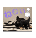 くうちゃんときなこ（個別スタンプ：6）