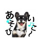 くうちゃんときなこ（個別スタンプ：10）