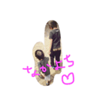 にちじょうすたんぷ（個別スタンプ：4）