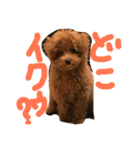 ポップ君とおまけstamp（個別スタンプ：2）