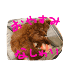 ポップ君とおまけstamp（個別スタンプ：3）