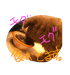 ポップ君とおまけstamp（個別スタンプ：9）
