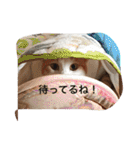 家のにゃー達(真顔)（個別スタンプ：10）