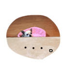 気まぐれぶんちゃん（個別スタンプ：7）