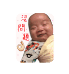 Han Han（個別スタンプ：11）