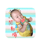 Han Han（個別スタンプ：12）