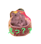 animal-s.s70-2（個別スタンプ：14）