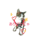 あにゃ 猫（個別スタンプ：13）