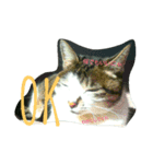 あにゃ 猫（個別スタンプ：14）