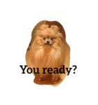 I am a choco（個別スタンプ：2）