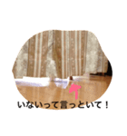 I am a choco（個別スタンプ：5）