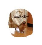 I am a choco（個別スタンプ：8）