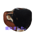 俊太の気持ち（個別スタンプ：4）