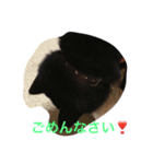 俊太の気持ち（個別スタンプ：5）