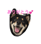 俊太の気持ち（個別スタンプ：6）