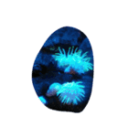 海の生き物と珊瑚、岩（個別スタンプ：1）