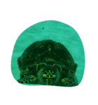 海の生き物と珊瑚、岩（個別スタンプ：9）