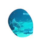 海の生き物と珊瑚、岩（個別スタンプ：13）