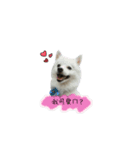 YT＆AL-Lovely Dog（個別スタンプ：1）