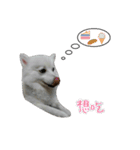 YT＆AL-Lovely Dog（個別スタンプ：4）