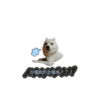 YT＆AL-Lovely Dog（個別スタンプ：5）