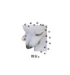 YT＆AL-Lovely Dog（個別スタンプ：6）