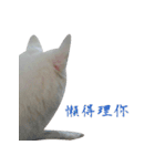 YT＆AL-Lovely Dog（個別スタンプ：7）