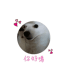 YT＆AL-Lovely Dog（個別スタンプ：8）
