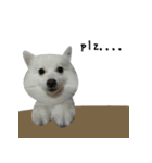 YT＆AL-Lovely Dog（個別スタンプ：9）