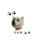 YT＆AL-Lovely Dog（個別スタンプ：10）