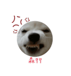 YT＆AL-Lovely Dog（個別スタンプ：15）