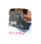 rose saw（個別スタンプ：2）