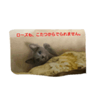 rose saw（個別スタンプ：4）