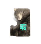 Buri（個別スタンプ：8）
