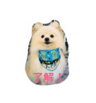 まふあんどそら（個別スタンプ：1）
