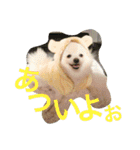 まふあんどそら（個別スタンプ：6）