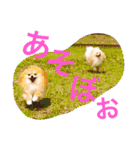 まふあんどそら（個別スタンプ：7）