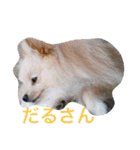 まふあんどそら（個別スタンプ：10）