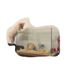 まふあんどそら（個別スタンプ：14）