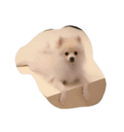 まふあんどそら（個別スタンプ：25）