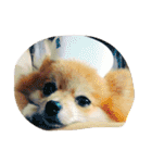 まふあんどそら（個別スタンプ：29）