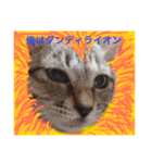 nekojarasi（個別スタンプ：4）