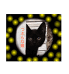nekojarasi（個別スタンプ：5）