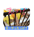 ぱるぴー！（個別スタンプ：6）