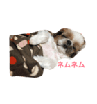 gu and bo（個別スタンプ：5）