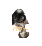 gu and bo（個別スタンプ：6）
