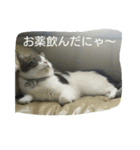 pupu0529（個別スタンプ：1）
