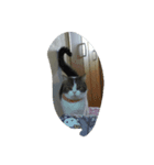pupu0529（個別スタンプ：2）