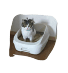 pupu0529（個別スタンプ：6）